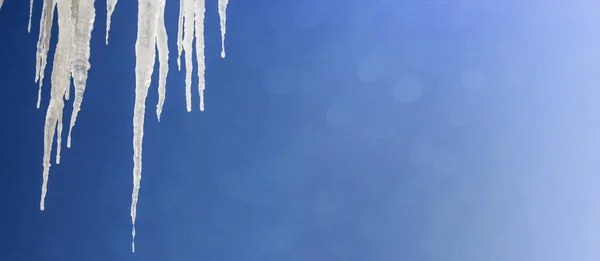 Białe sople przeciwko błękitnemu zimowemu niebu. — Zdjęcie stockowe