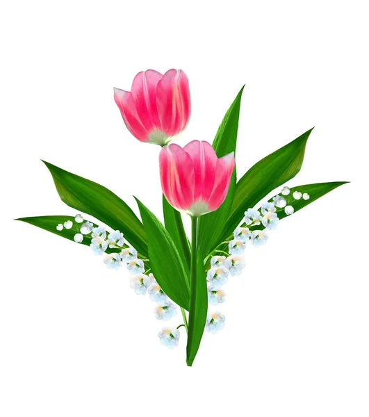 Fleurs printanières tulipes isolées sur fond blanc. — Photo
