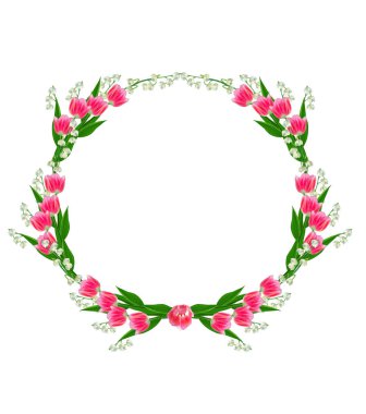 bahar çiçekleri beyaz arkaplanda izole laleler. 