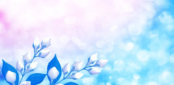 Білий жасмин Гілка ніжних весняних квітів — стокове фото