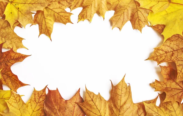 Hoja de arce de otoño brillante sobre un fondo blanco . — Foto de Stock