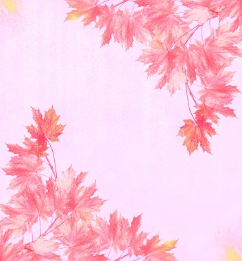 sonbahar manzara parlak renkli yeşillik ile. Pastırma yazı.