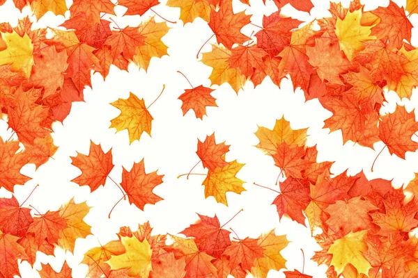 Parlak renkli sonbahar yaprakları — Stok fotoğraf