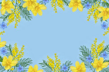 Sarı bahar çiçekleri Mimoza Bush