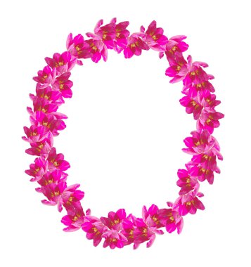 bahar çiçekleri laleler 