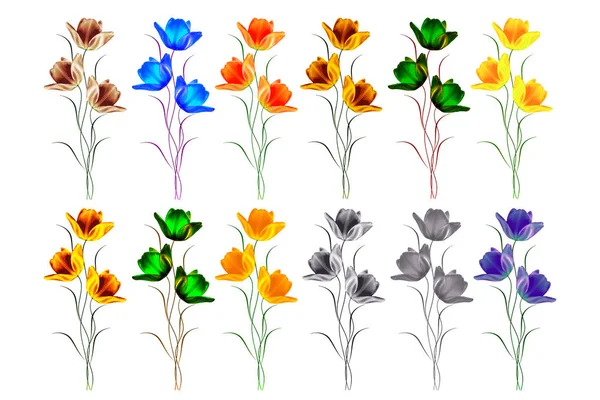 Frühlingsblumen Tulpen — Stockfoto