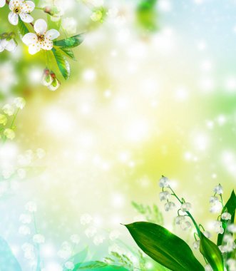 Parlak renkli bahar çiçekleri