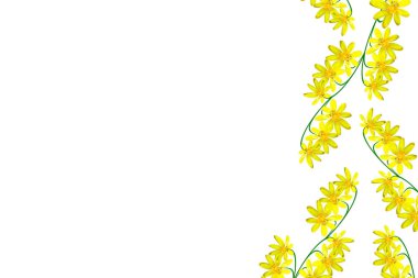 Renkli parlak çiçek düğün çiçeği 