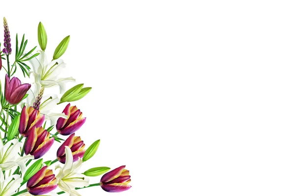 Ljusa vårblommor av tulpaner och liljor. — Stockfoto