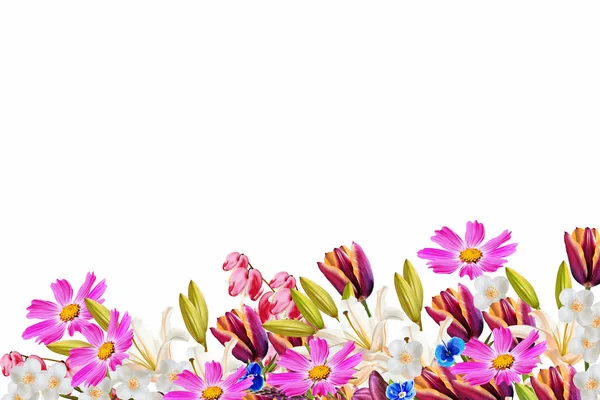 Floraler Hintergrund. bunte und leuchtende Frühlingsblumen. — Stockfoto