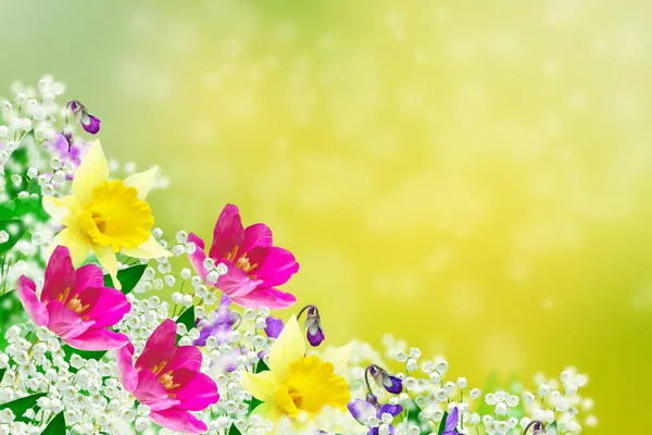 绚丽多彩的春天的花朵。花卉背景. — 图库照片
