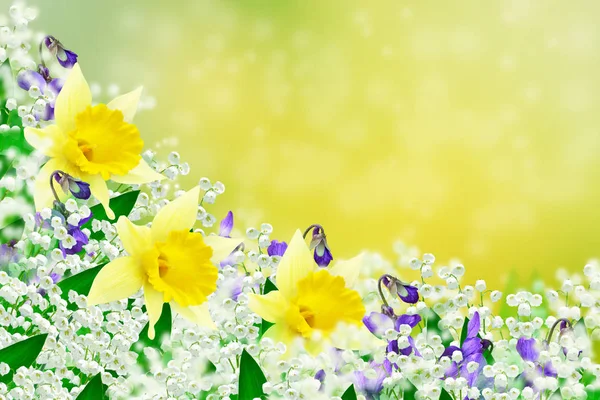 Frühlingslandschaft. Blühende Maiglöckchen — Stockfoto
