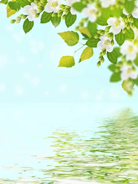 Wiosnę krajobraz z delikatnych kwiatów jaśminu — Zdjęcie stockowe