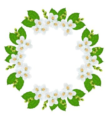 Yasemin çiçek şube 