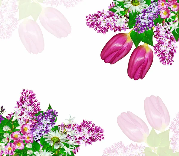 Zweig heller und farbenfroher Frühlingsblumen — Stockfoto