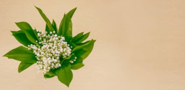 Bahar manzarası. çiçekleri vadideki zambak