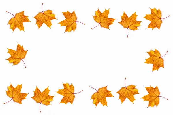 Heldere herfstbladeren kleurrijke — Stockfoto