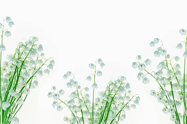 Konwalia kwiat na białym tle — Zdjęcie stockowe