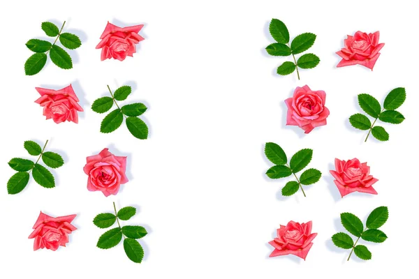 Jasny różowy płatki róż. — Zdjęcie stockowe