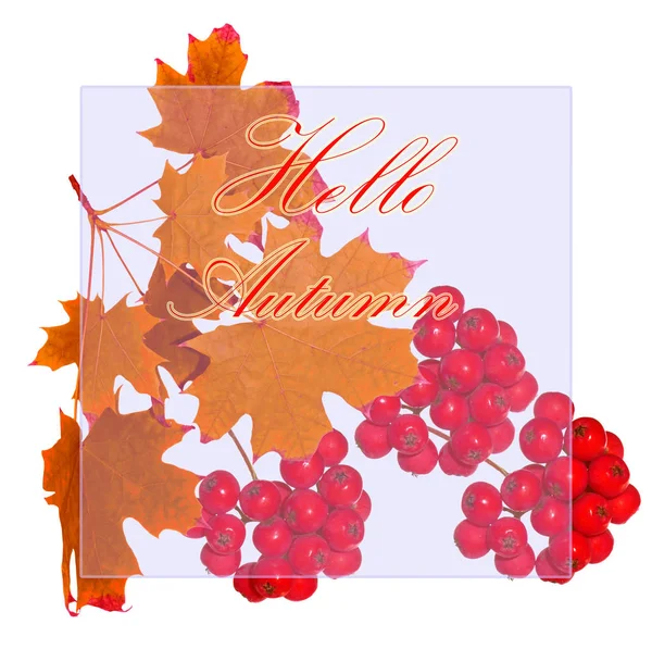 Яскраве колоритне осіннє листя. червоний — стокове фото