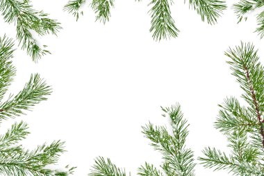 Kar kaplı ağaç Noel ağacı dalları 