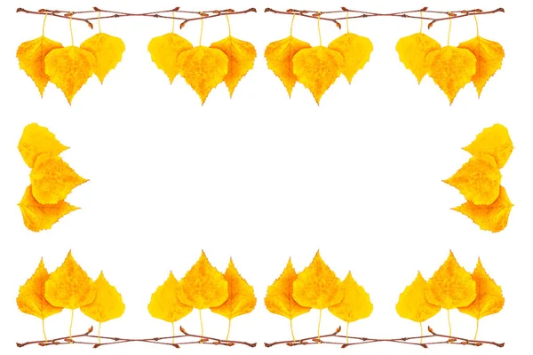 Luminose foglie autunnali colorate — Foto Stock