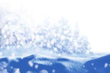  Karla kaplı ağaçlarla donuk kış ormanı.