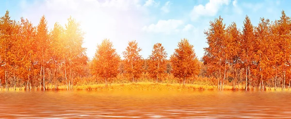Sonbahar manzarası. Parlak renkli yaprakları ile Ağaçlar — Stok fotoğraf