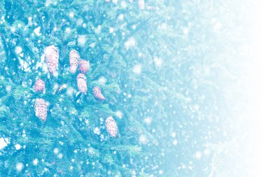  Karla kaplı ağaçlarla donuk kış ormanı.