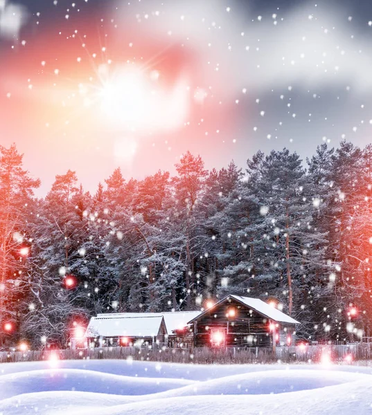 Pueblo en invierno bosque cubierto de nieve. Tarjeta de vacaciones. — Foto de Stock