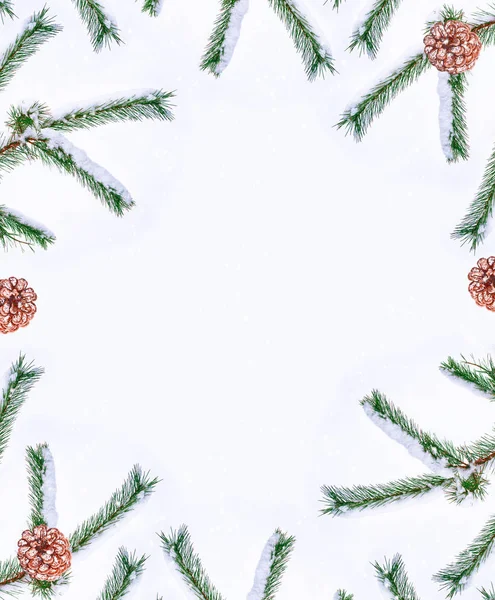 De takken van de kerstboom van sneeuw bedekte boom — Stockfoto