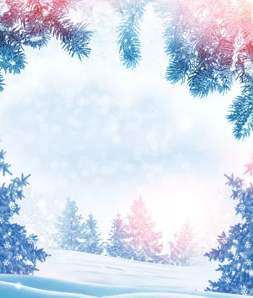Bevroren winterbos met besneeuwde bomen. — Gratis stockfoto