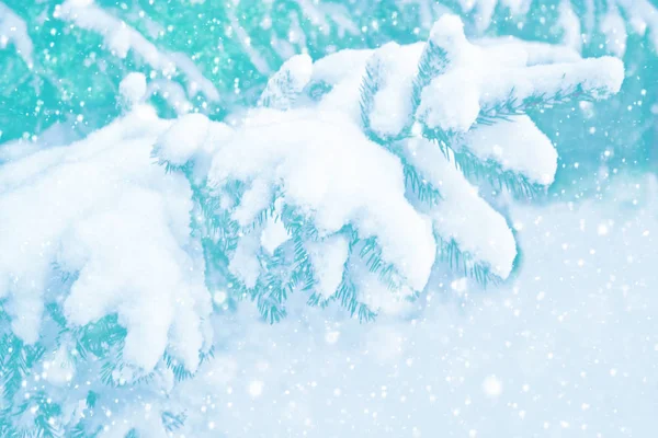 Bevroren winterbos met besneeuwde bomen — Stockfoto