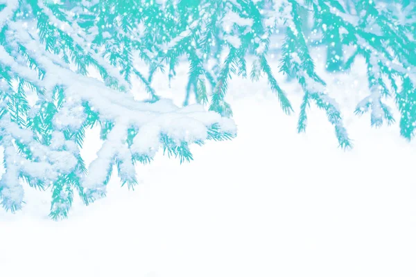 Mrożony las zimowy z pokrytymi śniegiem drzewami — Zdjęcie stockowe