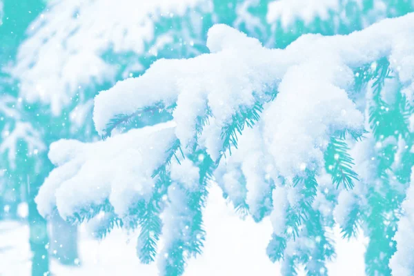 Κατεψυγμένα χειμερινά δάση με χιονισμένα δέντρα — Φωτογραφία Αρχείου