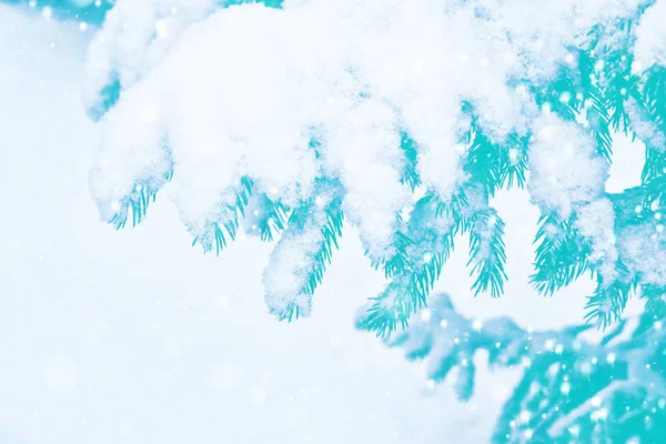 Floresta de inverno congelada com árvores cobertas de neve — Fotografia de Stock