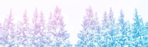 Zmrzlý zimní les. Rozmazané. — Stock fotografie