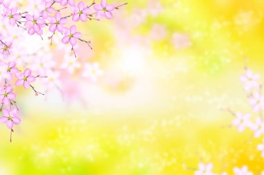 Çiçek açan elma dalı. Parlak renkli bahar çiçekleri