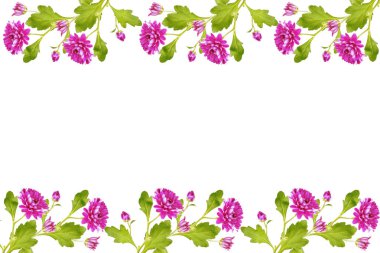 Çiçeklerin kasımpatı sonbahar renkli