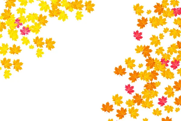 Feuilles d'automne colorées lumineuses — Photo
