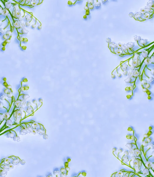 Bunte Frühlingslilie der Talblume — Stockfoto