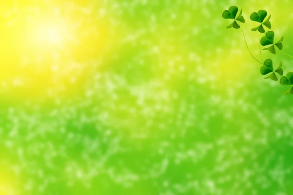 Grüne Kleeblätter Auf Einer Sommerlandschaft Hintergrund Patrick Day Natur — Stockfoto