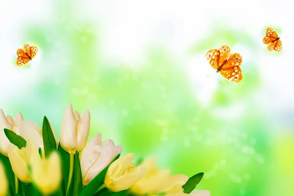 Naturlig Blommig Bakgrund Våren Ljusa Blommor Tulpan Fjäril — Stockfoto