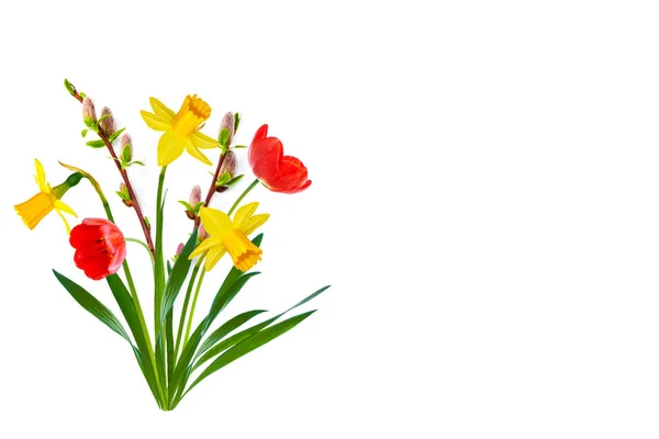Bukiet Wiosennych Kwiatów Żonkil Tulipany Izolowane Białym Tle — Zdjęcie stockowe