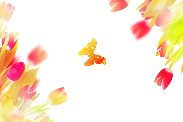 Vårblommor Tulpaner Isolerad Vit Bakgrund Butterfly — Stockfoto