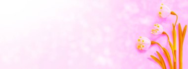 Bahar çiçeklerinin doğal çiçek arkaplanı..