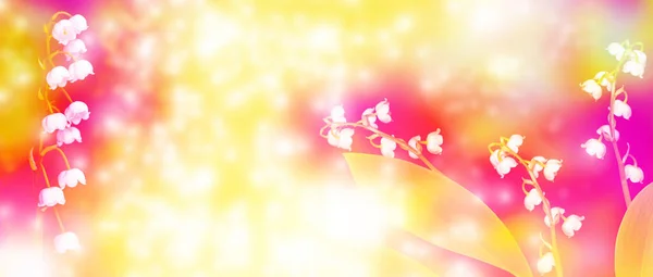 Ανοιξιάτικο Τοπίο Λουλούδια Κρίνο Της Κοιλάδας Εξωτερικοί — Φωτογραφία Αρχείου