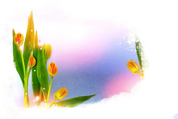 Naturalne Kwiatowe Tło Wiosennych Jasnych Kwiatów Tulipan — Zdjęcie stockowe