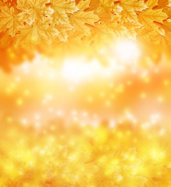 Parlak renkli yaprakları olan sonbahar manzarası. Hint yazı. Doğa