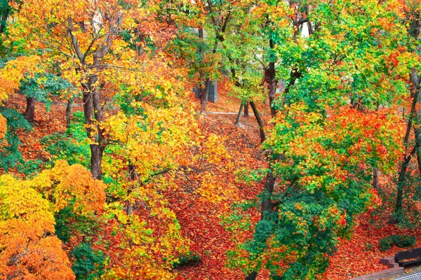 Paisaje Otoño Con Hojas Colores Brillantes Verano Indio Exterior —  Fotos de Stock